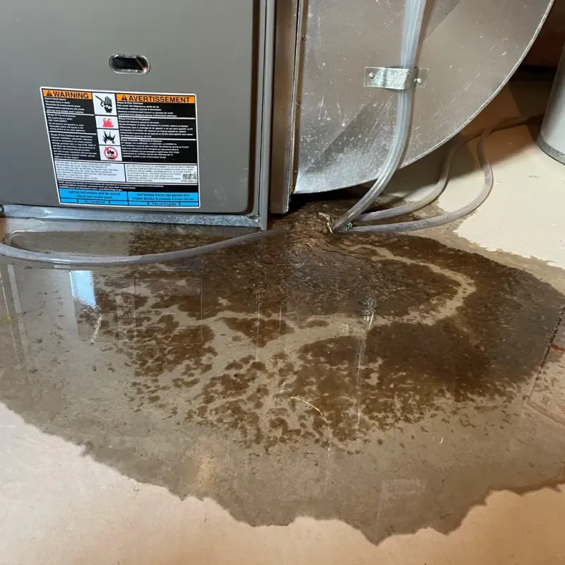 Appliance Leak Cleanup in Elizabethtown, NC